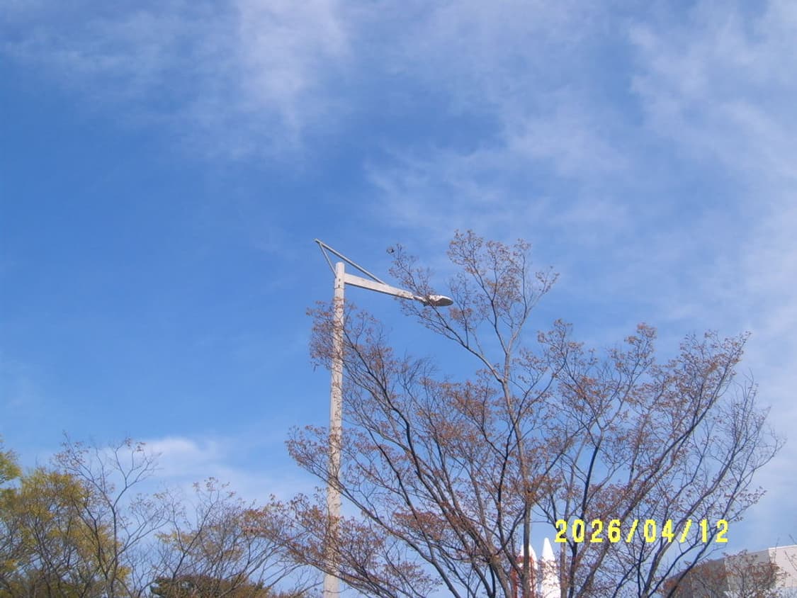 삼성 케녹스D3100(d470)디카 상품이미지8