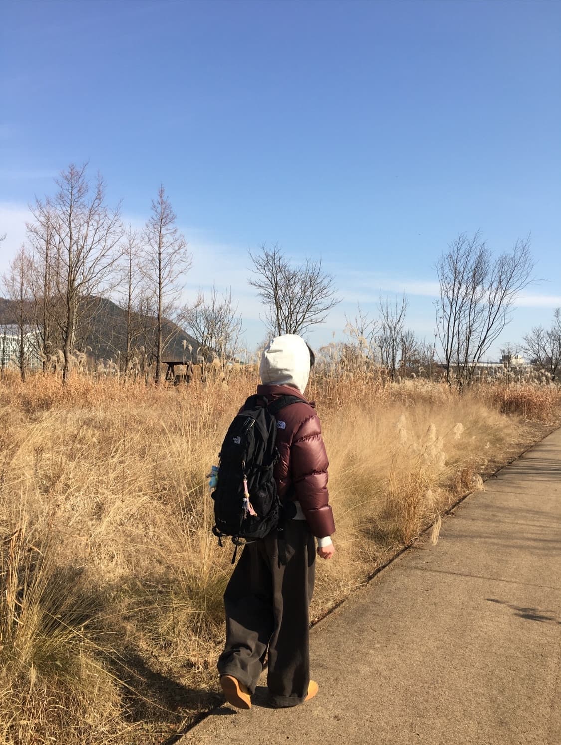 노스페이스 화이트 라벨 노벨티 눕시 코코아 브라운 M 상품이미지3