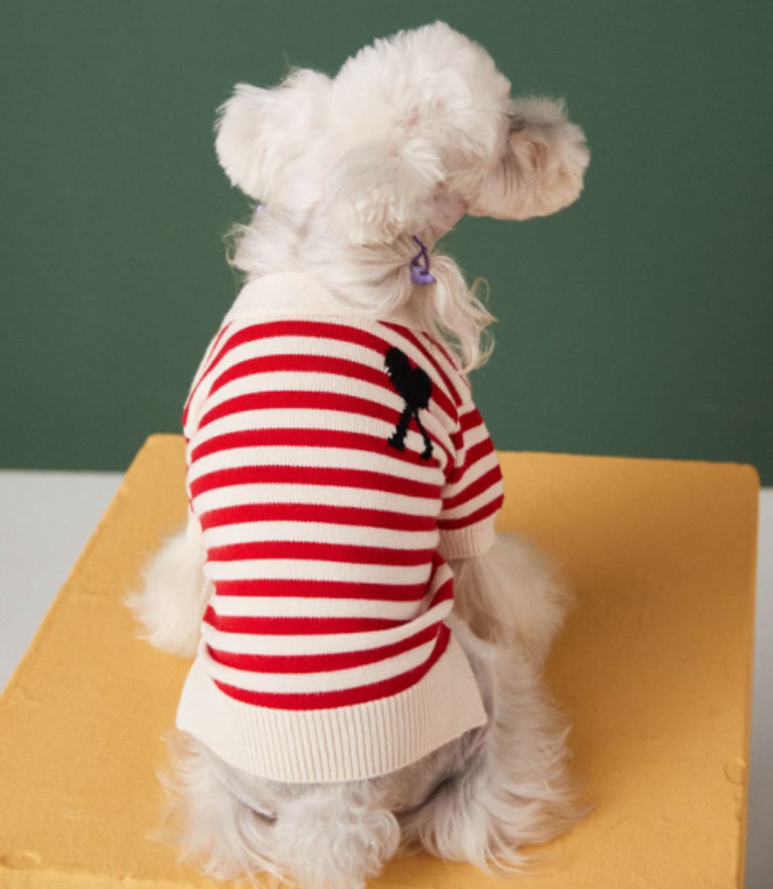스트라이프 강아지 니트 티셔츠 레드 상품이미지2