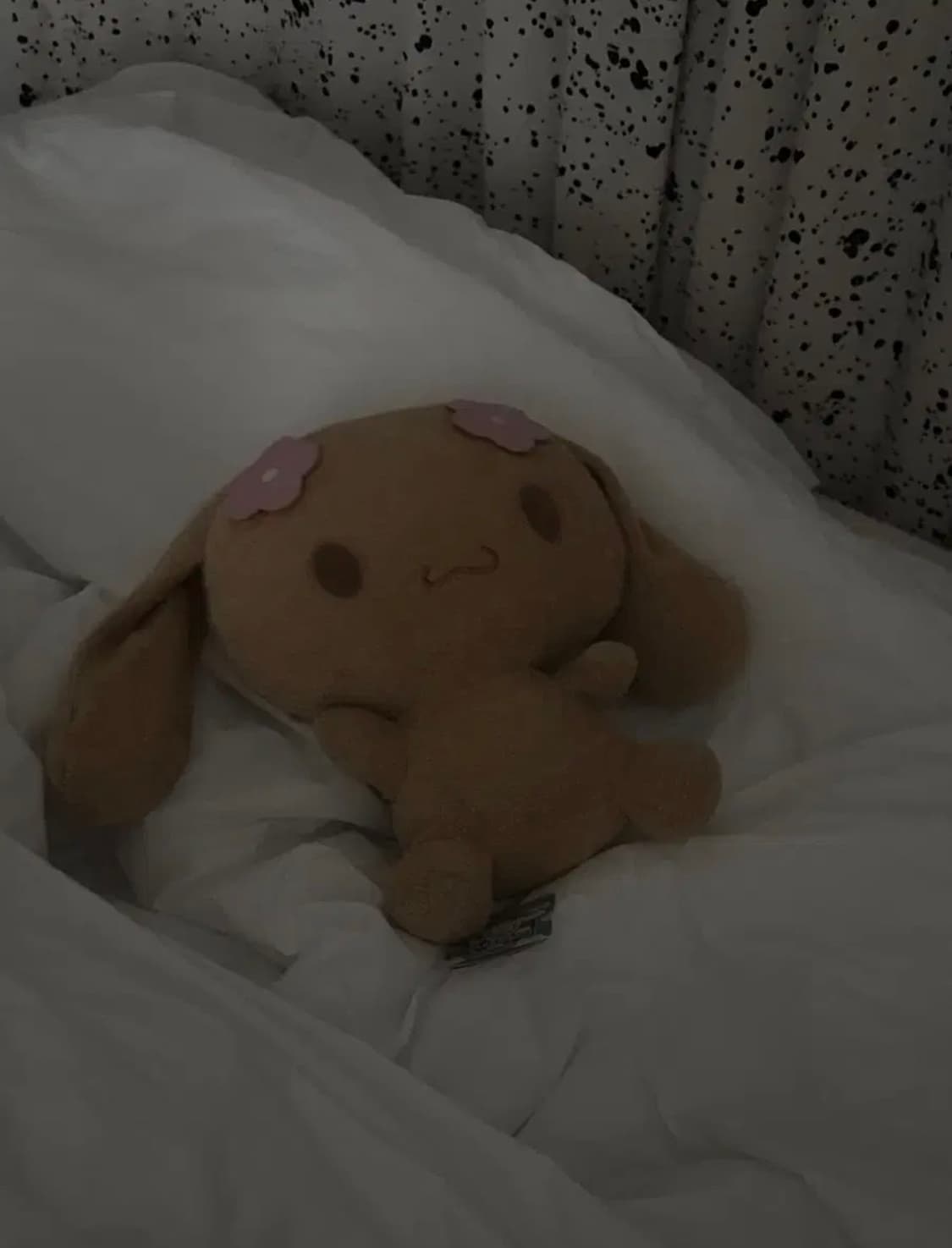 산리오 고전 시나모롤 모카 06년도 중형 인형 상품이미지2