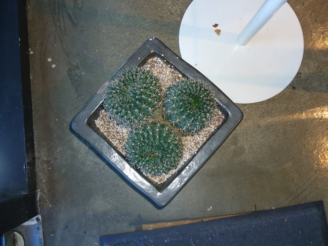 박스O)파나소닉 루믹스 DMC-FS6 민트색 빈티지디카 상품이미지10