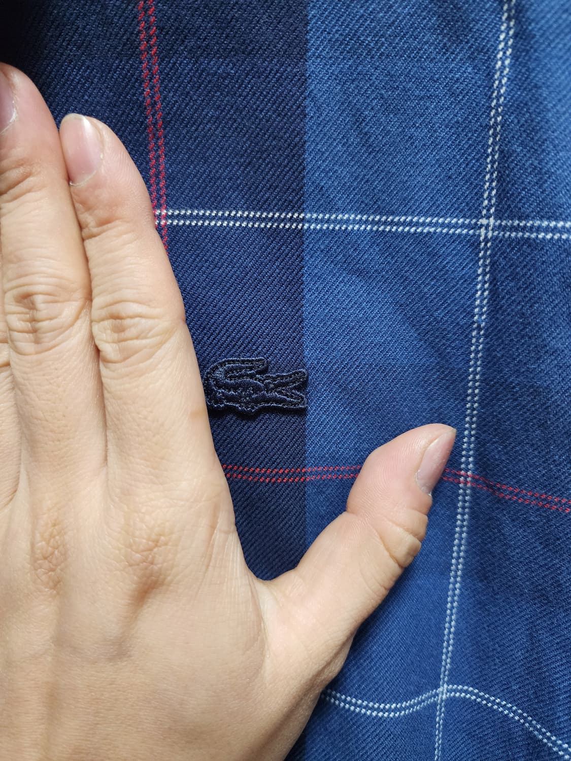 라코스테 블루 체크 셔츠 원피스 상품이미지3