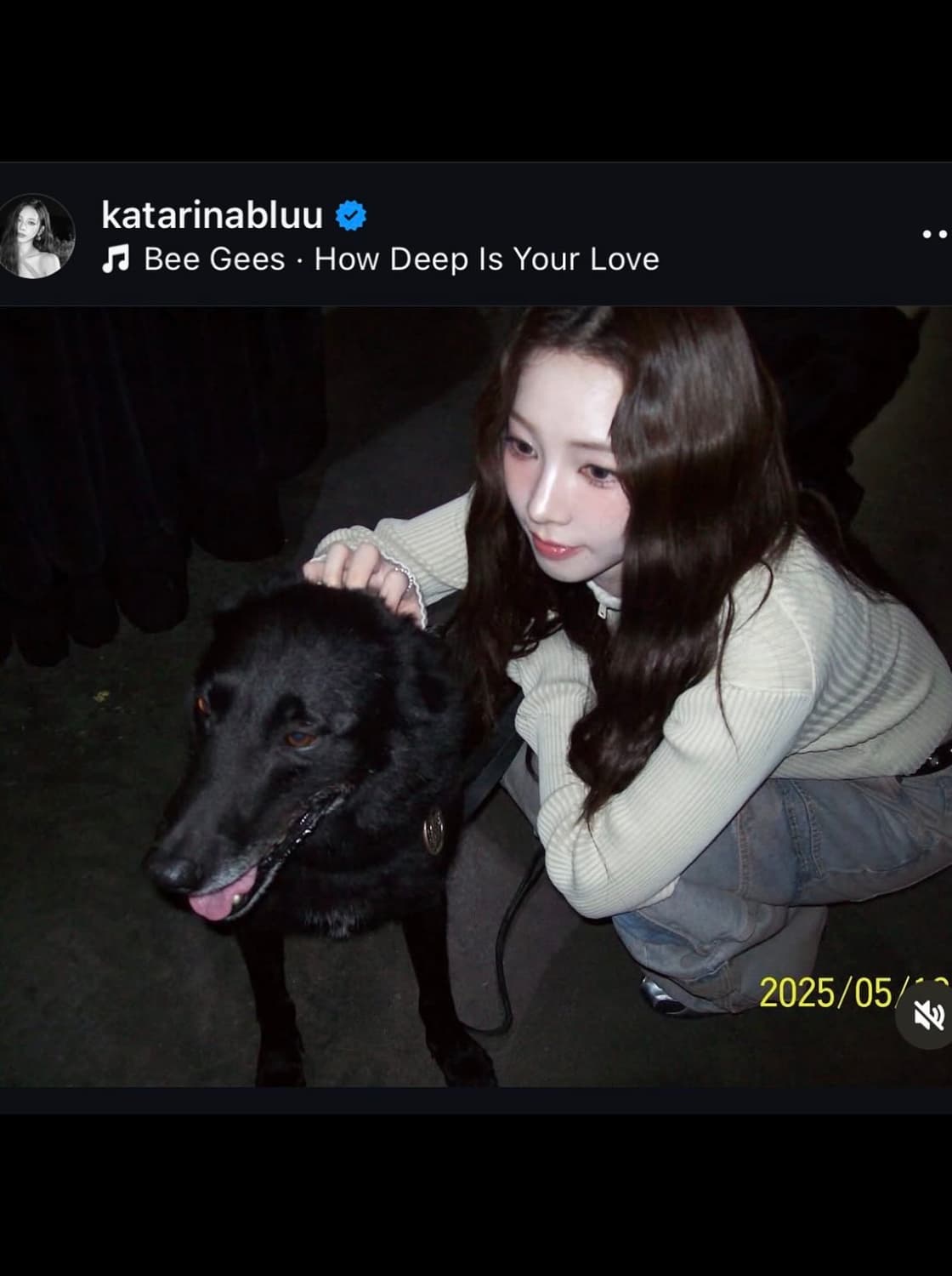 코닥 이지쉐어 c713 디지털카메라 상품이미지9