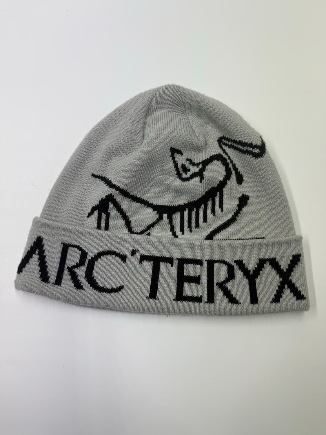 아크테릭스 버드 워드 토크 오르카 비니 상품이미지1