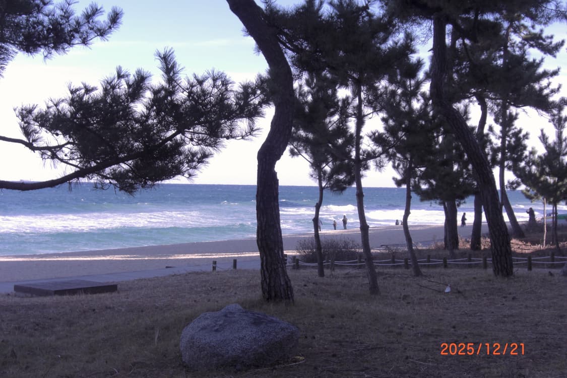 입문용 추천!) 카시오 엑슬림 Z1050(홍은채 디카) 상품이미지6