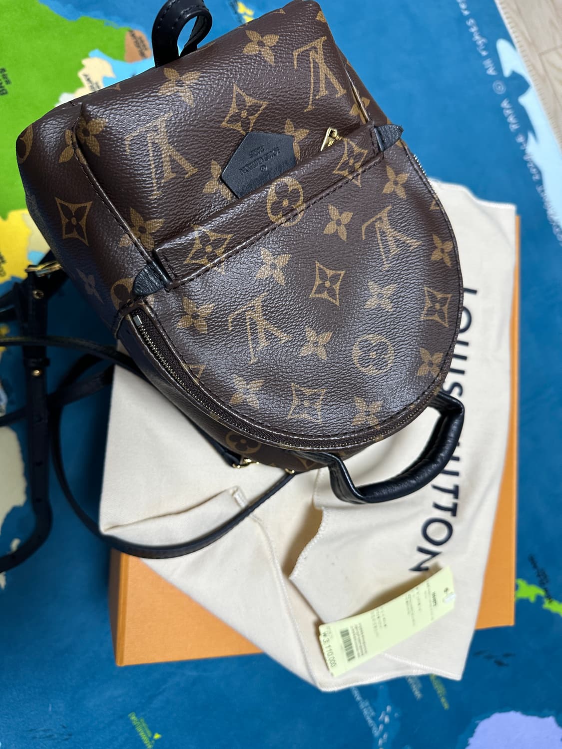 루이비통 팜스프링스 백팩 상품이미지4