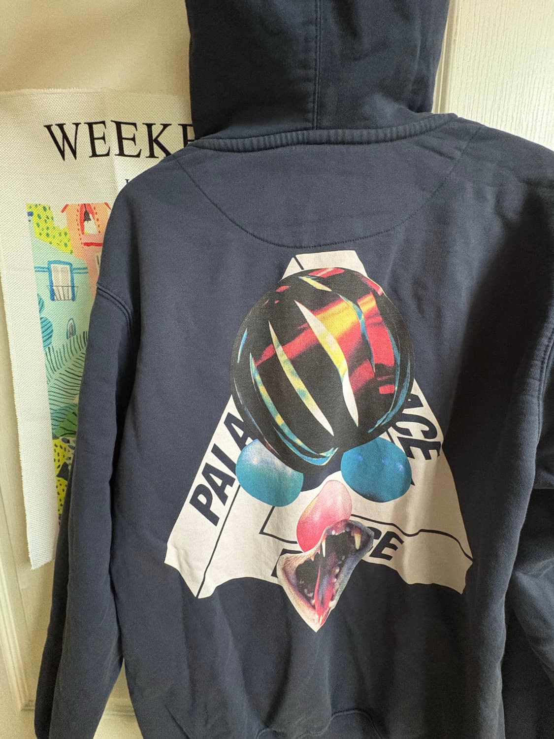 팔라스 캣 트라이퍼그 후드티 L 상품이미지1