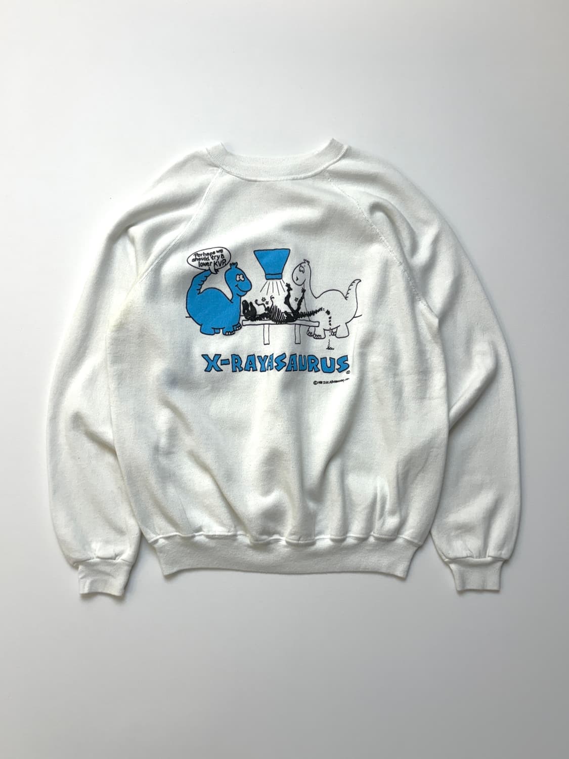 [XL] Hanes USA X-RAYSAURUS 스웻셔츠 상품이미지1