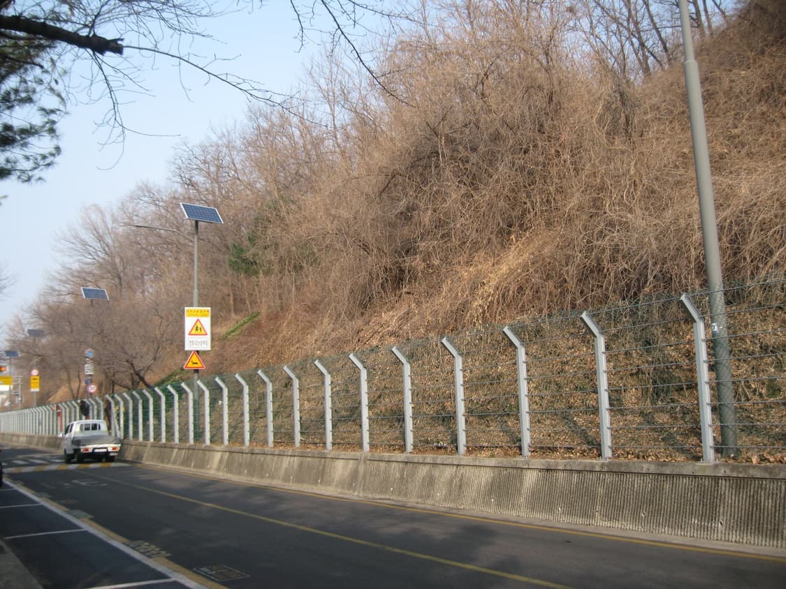 캐논 익서스ixus 900ti 디카 (빈티지 카메라) 상품이미지7