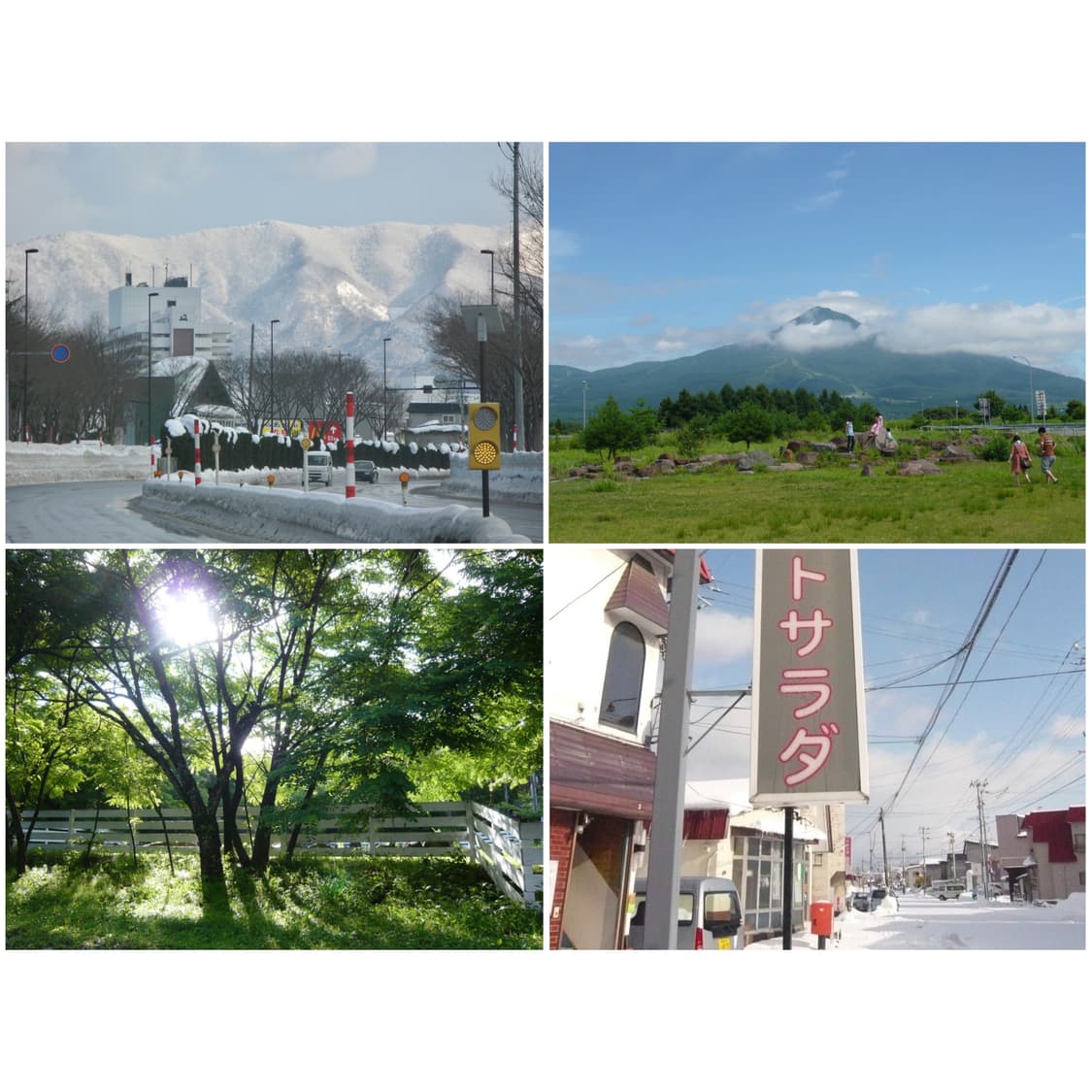 파나소닉 루믹스 FX33 라이트핑크 빈티지디카 상품이미지3