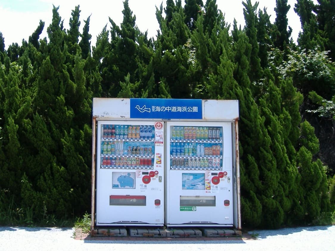 후지필름 A345 디카 (작례 有) 상품이미지4