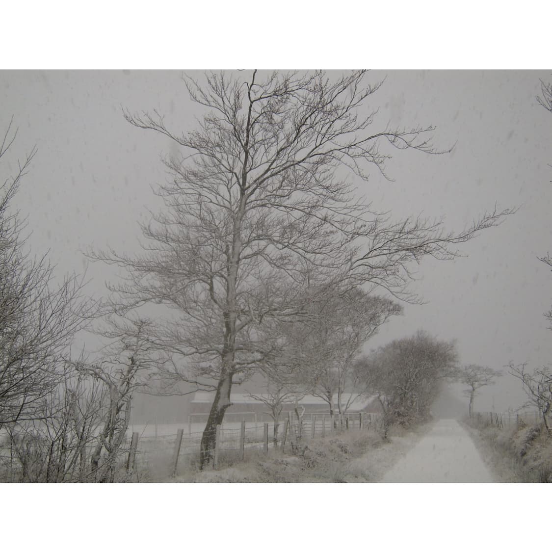 니콘 쿨픽스 s620 (작례 0) 상품이미지5