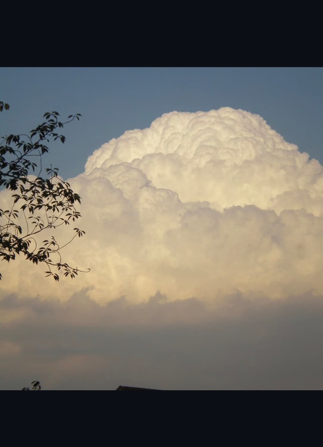 올림푸스 fe 46 디지털카메라 상품이미지9