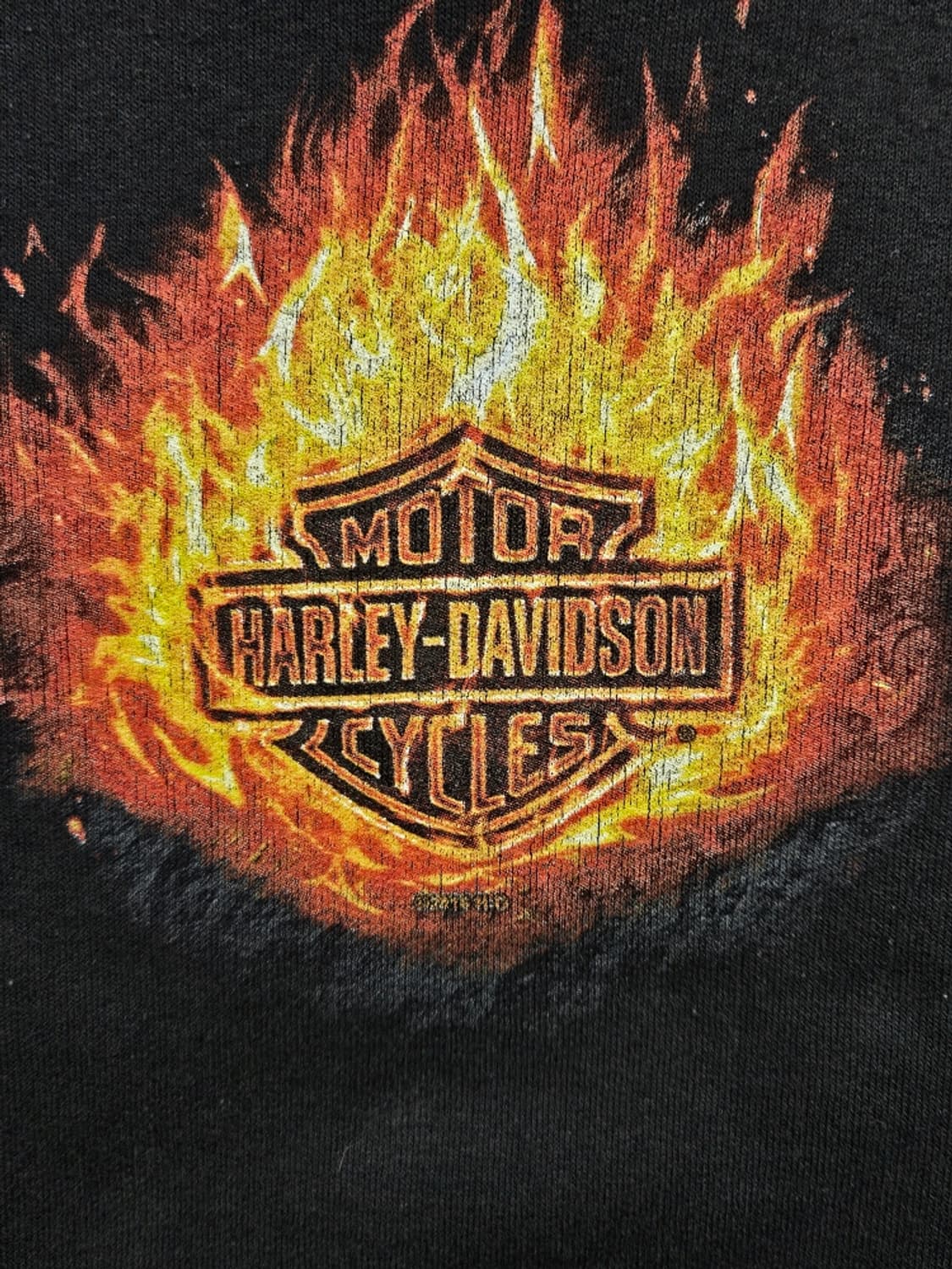 할리데이비슨 캐나다 엘버타 플레임 후드 집업 (2XL추정) / 10933 상품이미지6