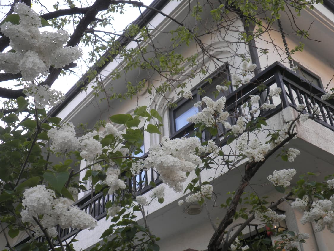 감성,작례) 올림푸스 Olympus FE-4030 빈티지 디카 핑크브라운 상품이미지8