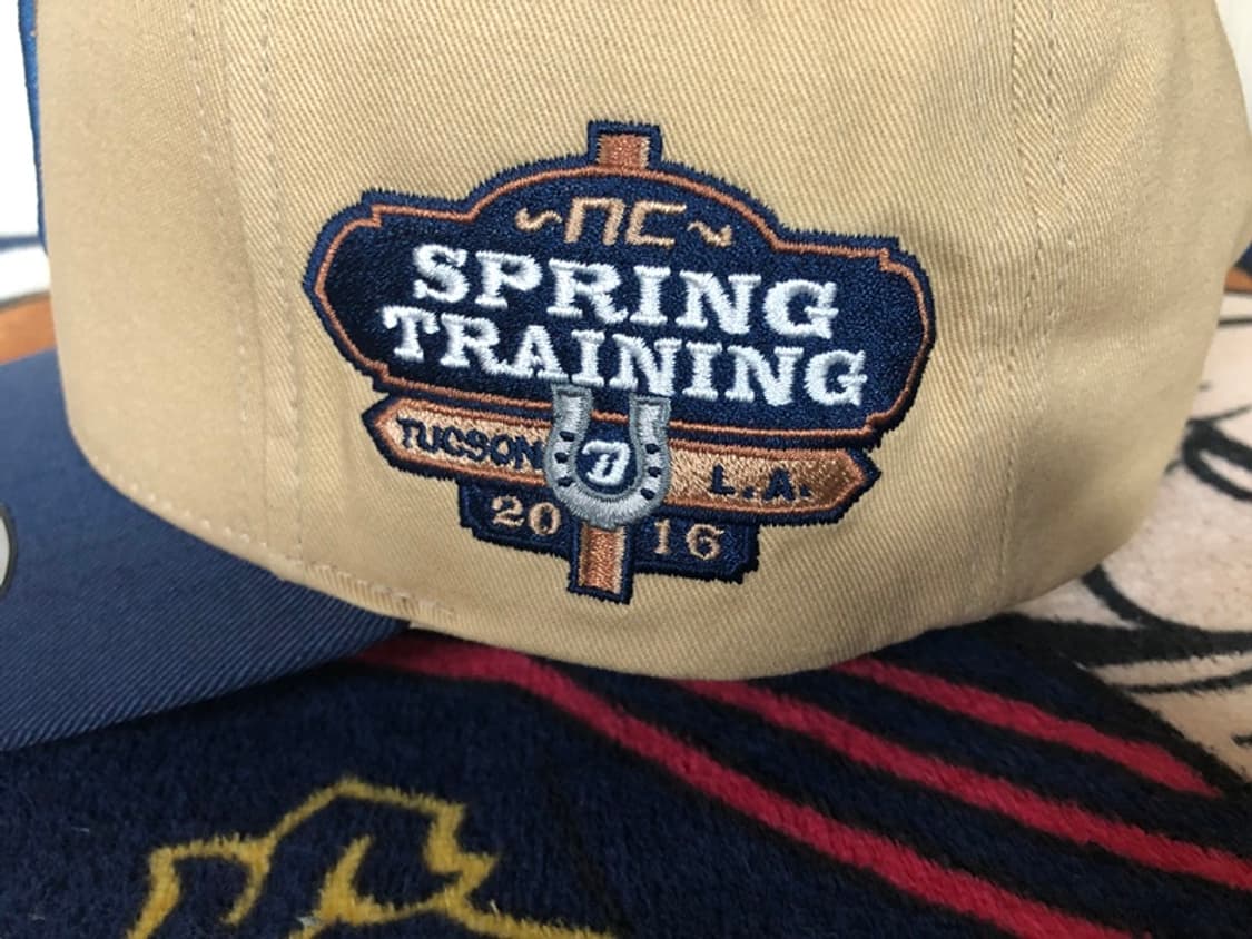 KBO ATC NC다이노스 2016 스프링캠프모자/캡 상품이미지4