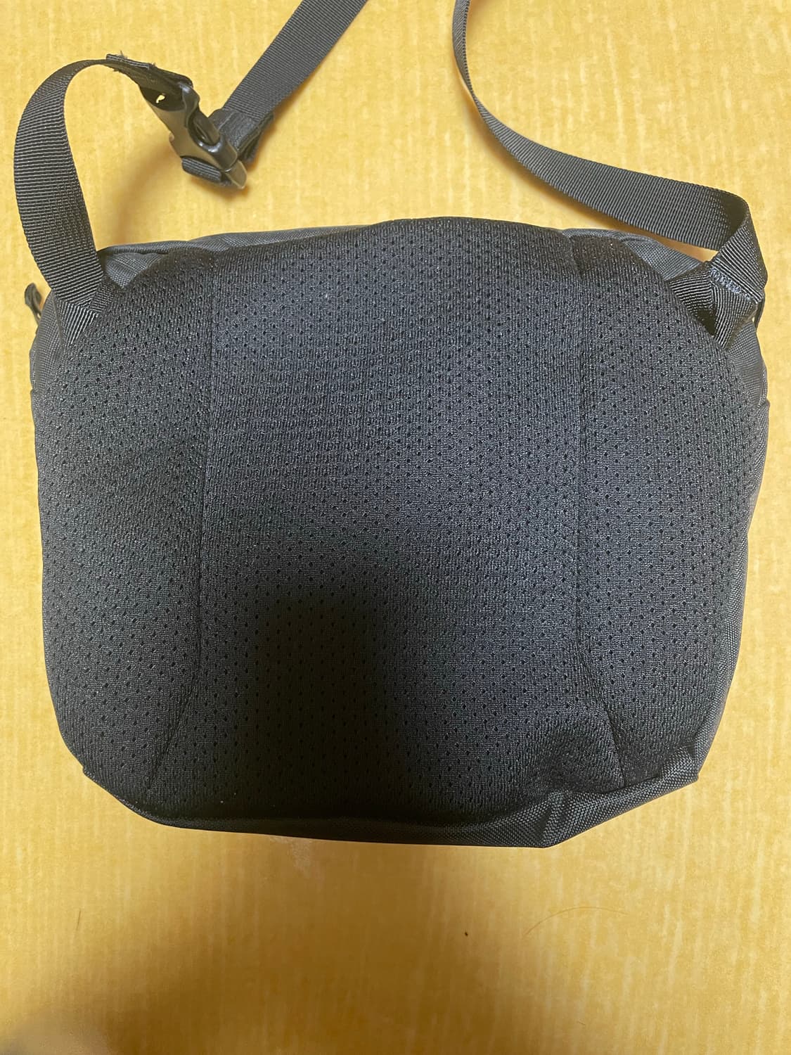 아크테릭스 맨티스2 웨이스트팩 상품이미지3