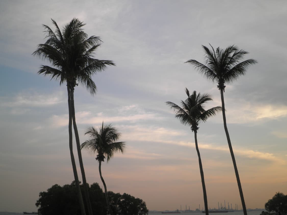 올림푸스 뮤 5010 블랙 (작례 O) 상품이미지8