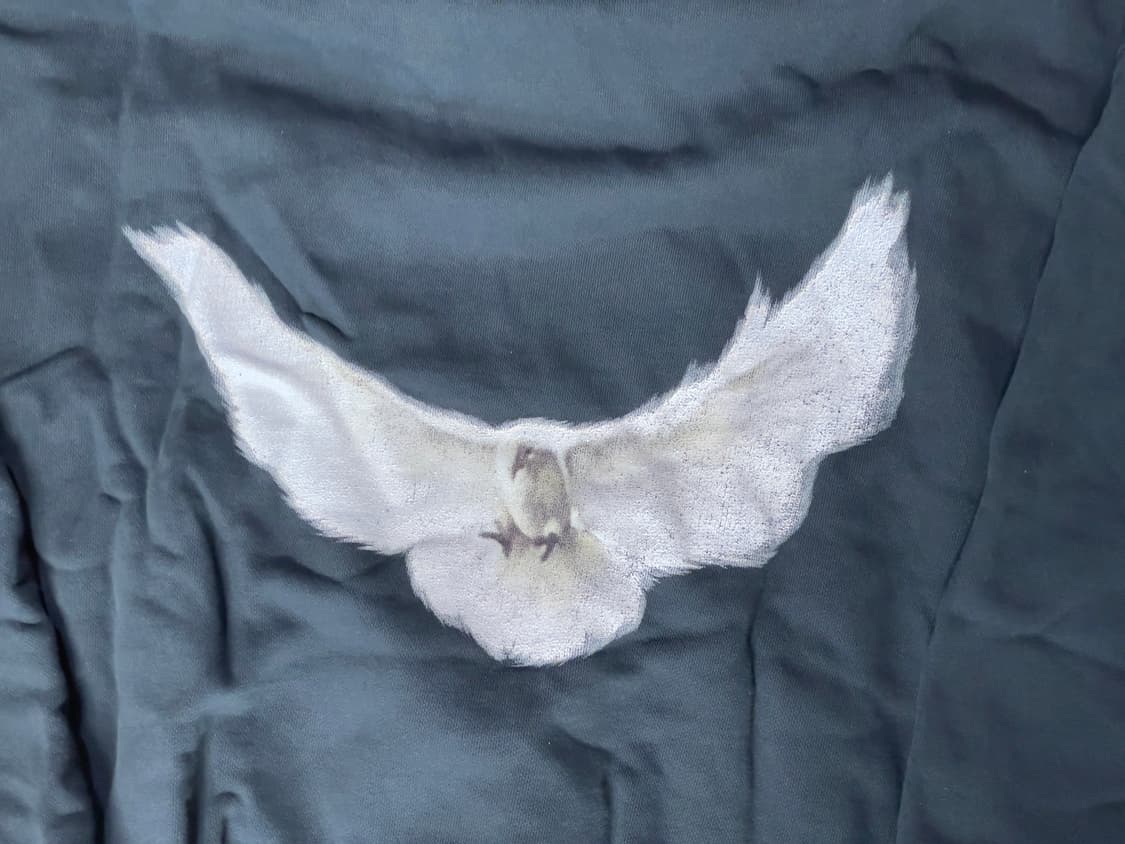 이지 갭 발렌시아가 도브 후드/xs 상품이미지3