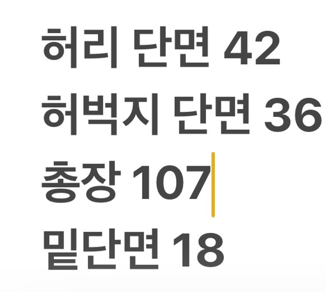 [정품/3XL] 디월트 작업 바지 블랙 슬림핏 b16 상품이미지9