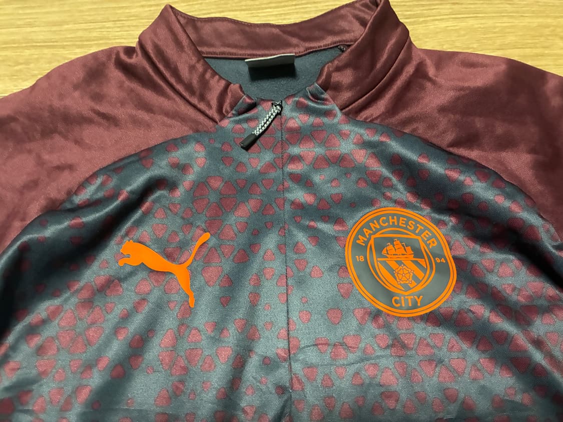 M) 푸마 퓨마 23/24 맨체스터 시티 트레이닝 플리스 상품이미지2