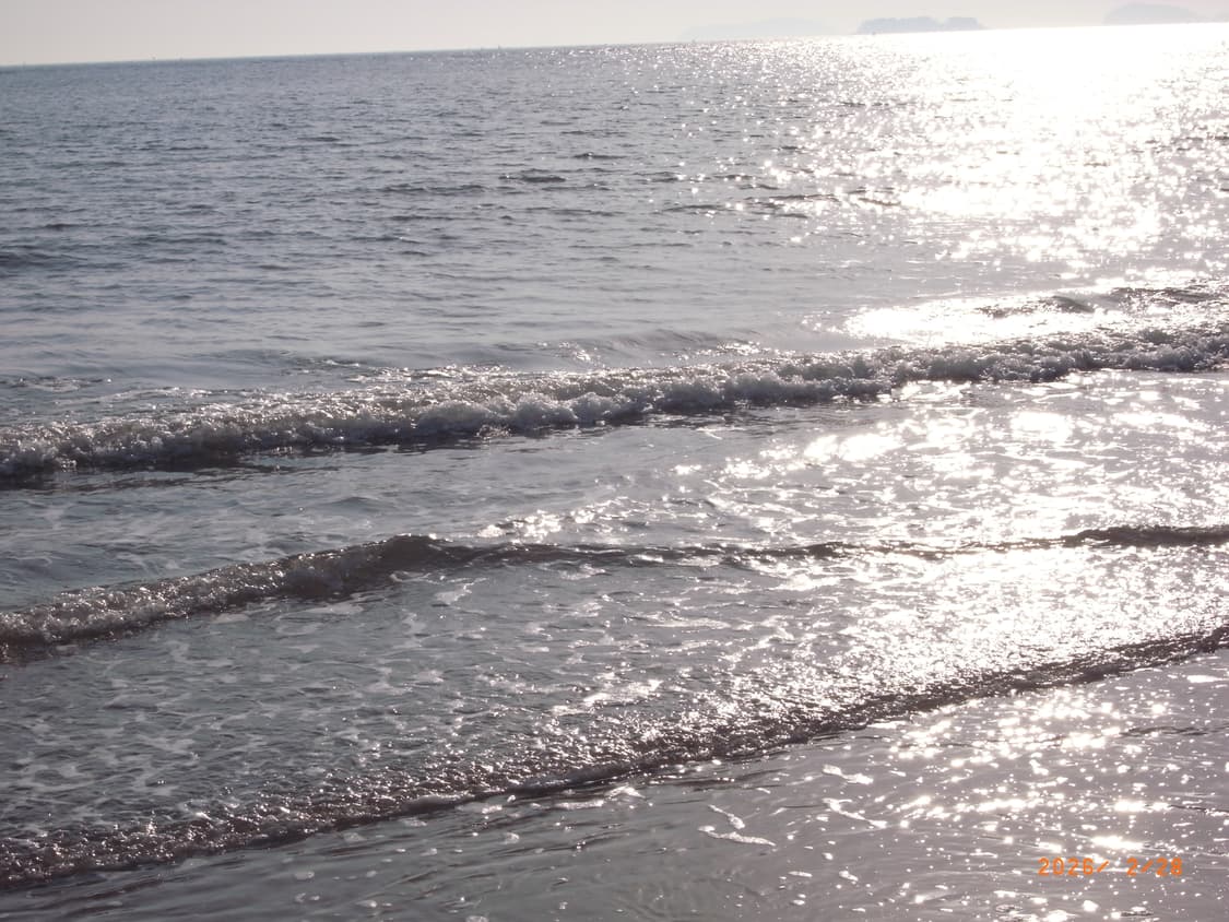 (작례!)Ricoh Caplio GX200디카 상품이미지3