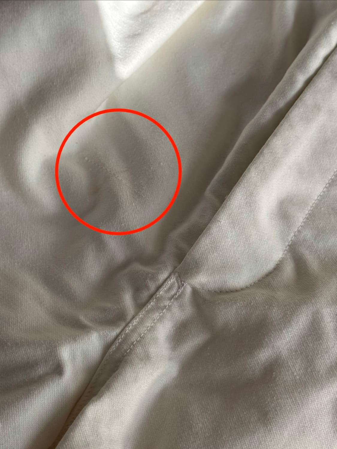 HED MAYNER balloon cotton pants 상품이미지7