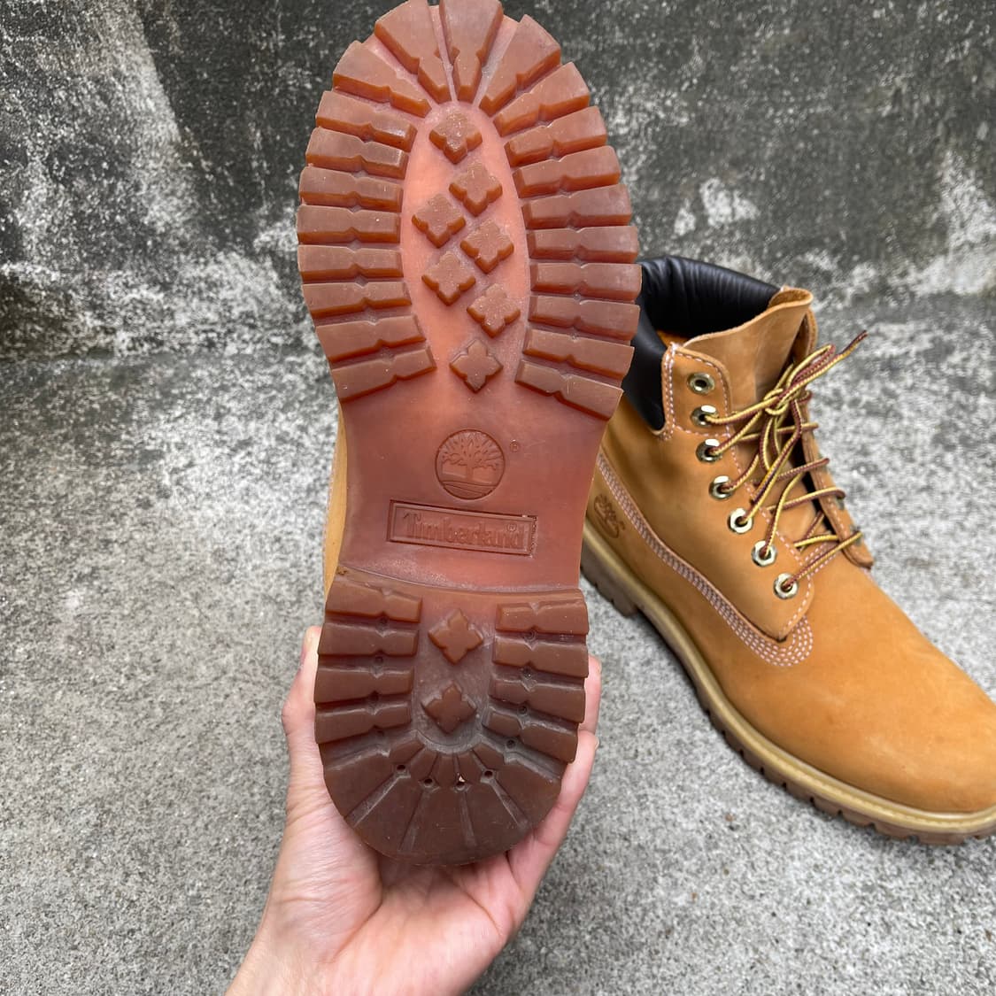 [6.5W] 팀버랜드 6인치 프리미엄 워커부츠 상품이미지6