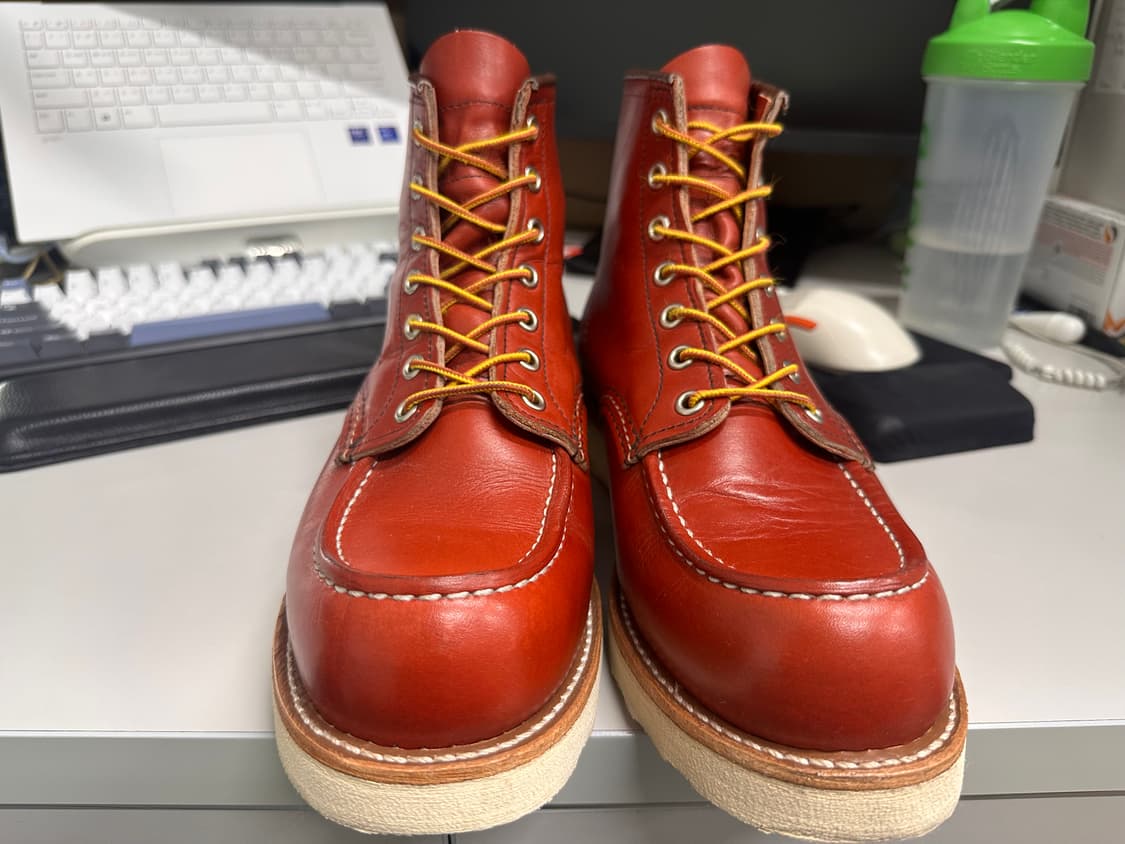 (260e) 레드윙 오로러셋 포티지 8875 상품이미지6