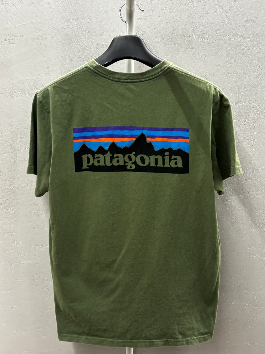 파타고니아 P-6 로고 리스판서빌리 남성 반팔티 상품이미지9