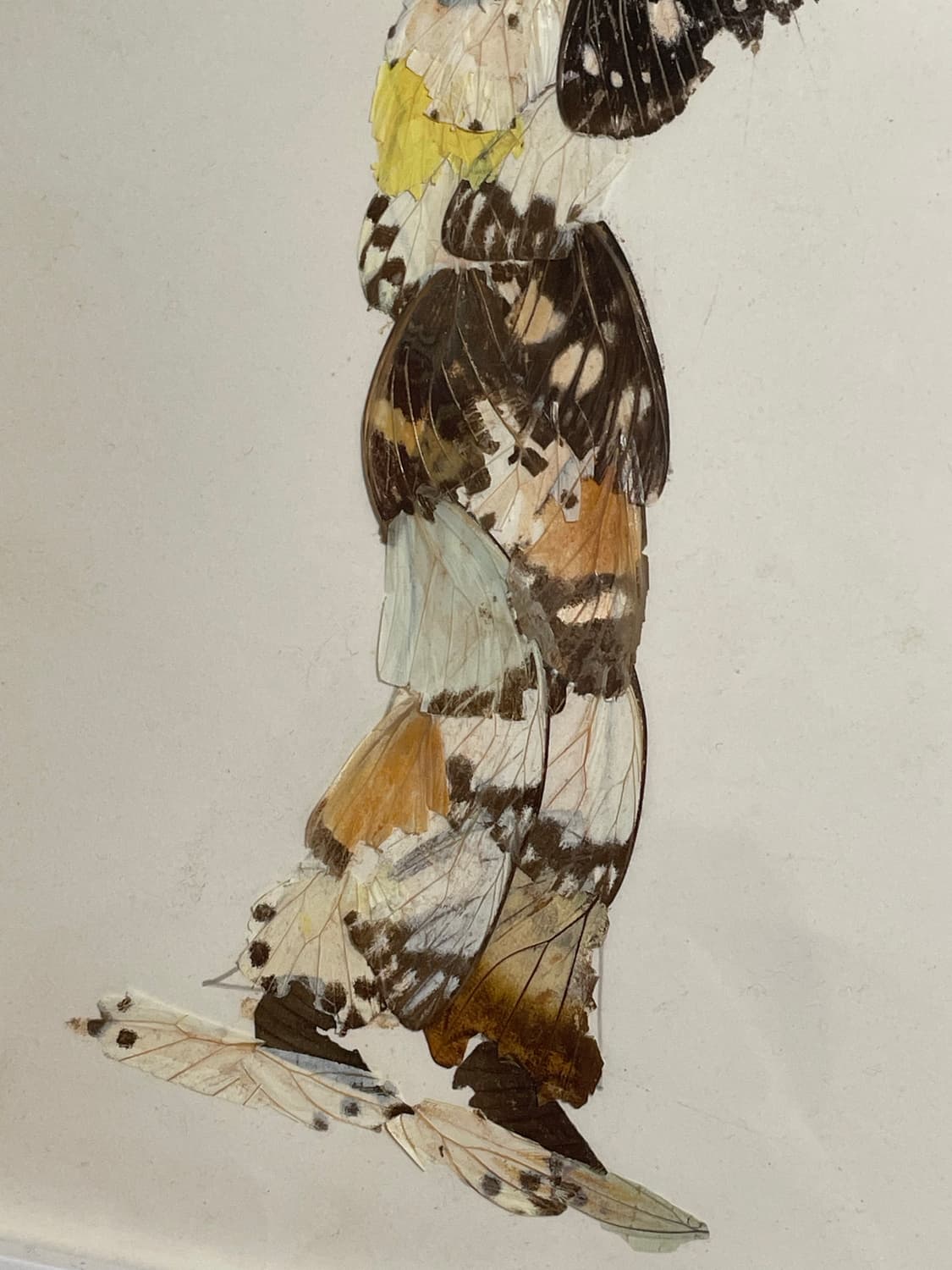 Butterfly Wing Lady Frame Art 상품이미지5