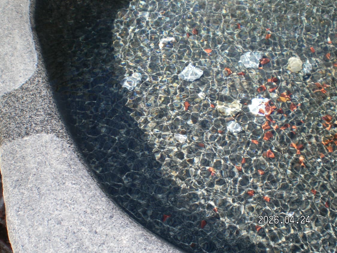 🎆작례0/강력소장추천/ 산요작티 XACTI dsc s7 디카 상품이미지3