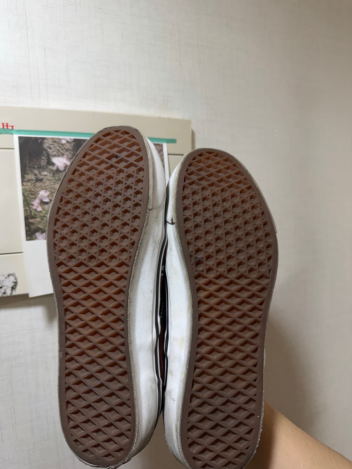 와코마리아 반스 브라운 280 상품이미지2