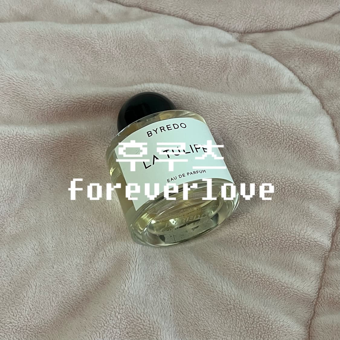 바이레도 라튤립 50ml 향수 국문택O 상품이미지1