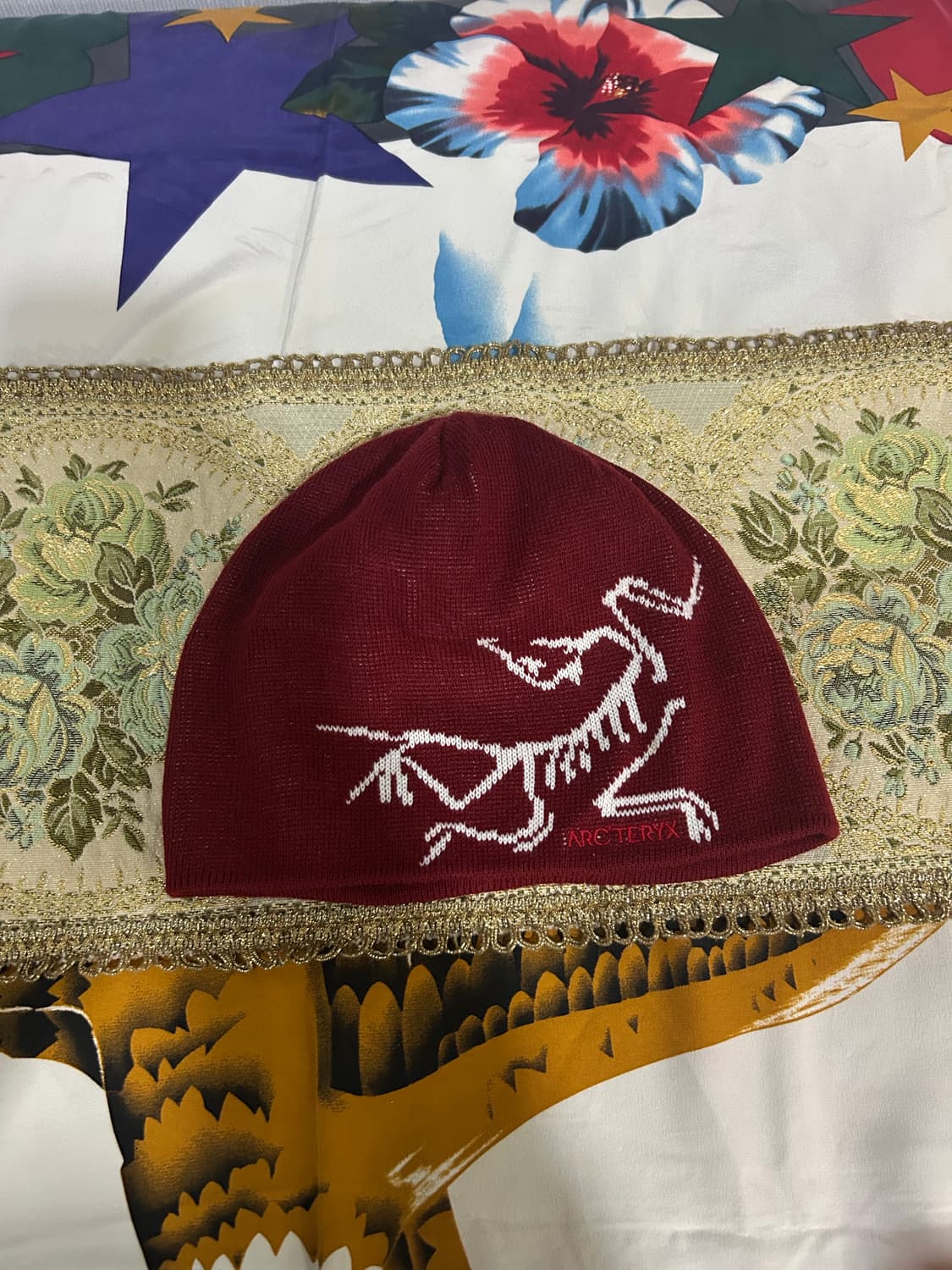 아크테릭스 비니 상품이미지1