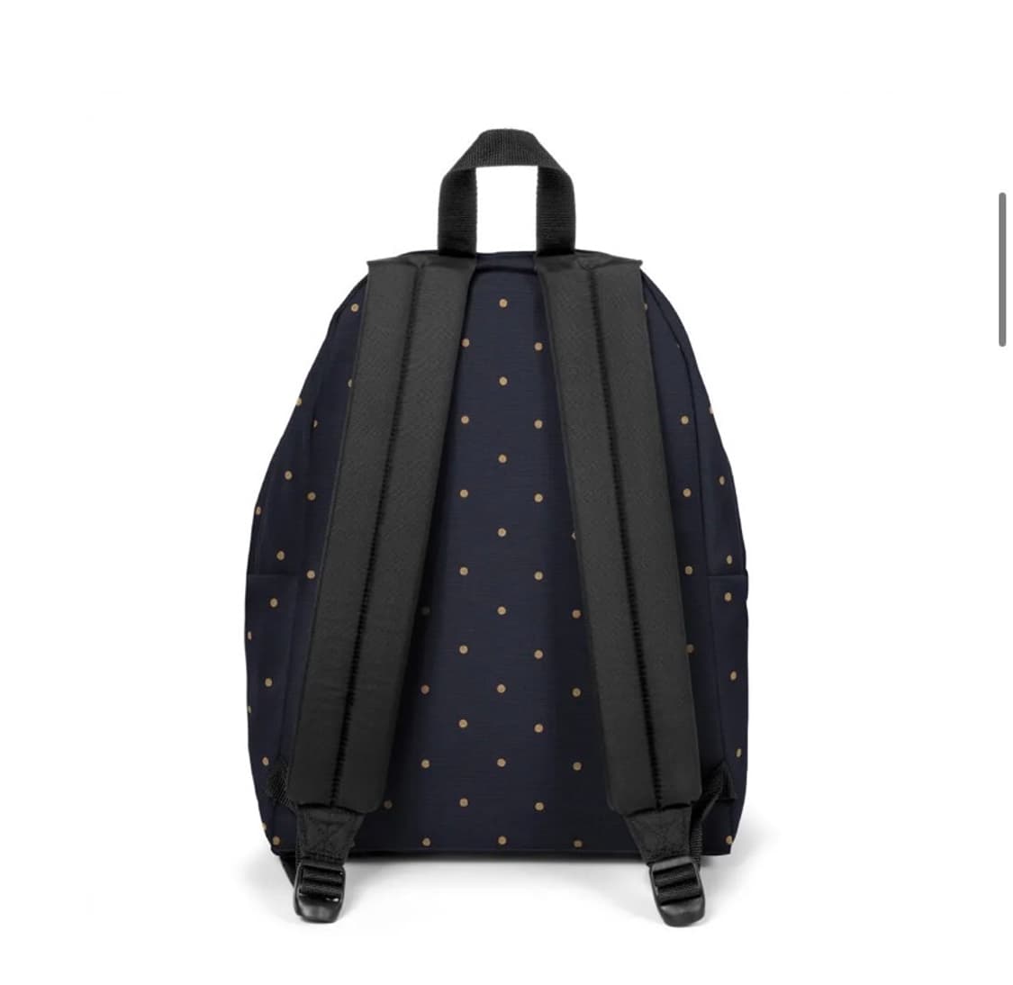 이스트팩 백팩 도트  상품이미지2