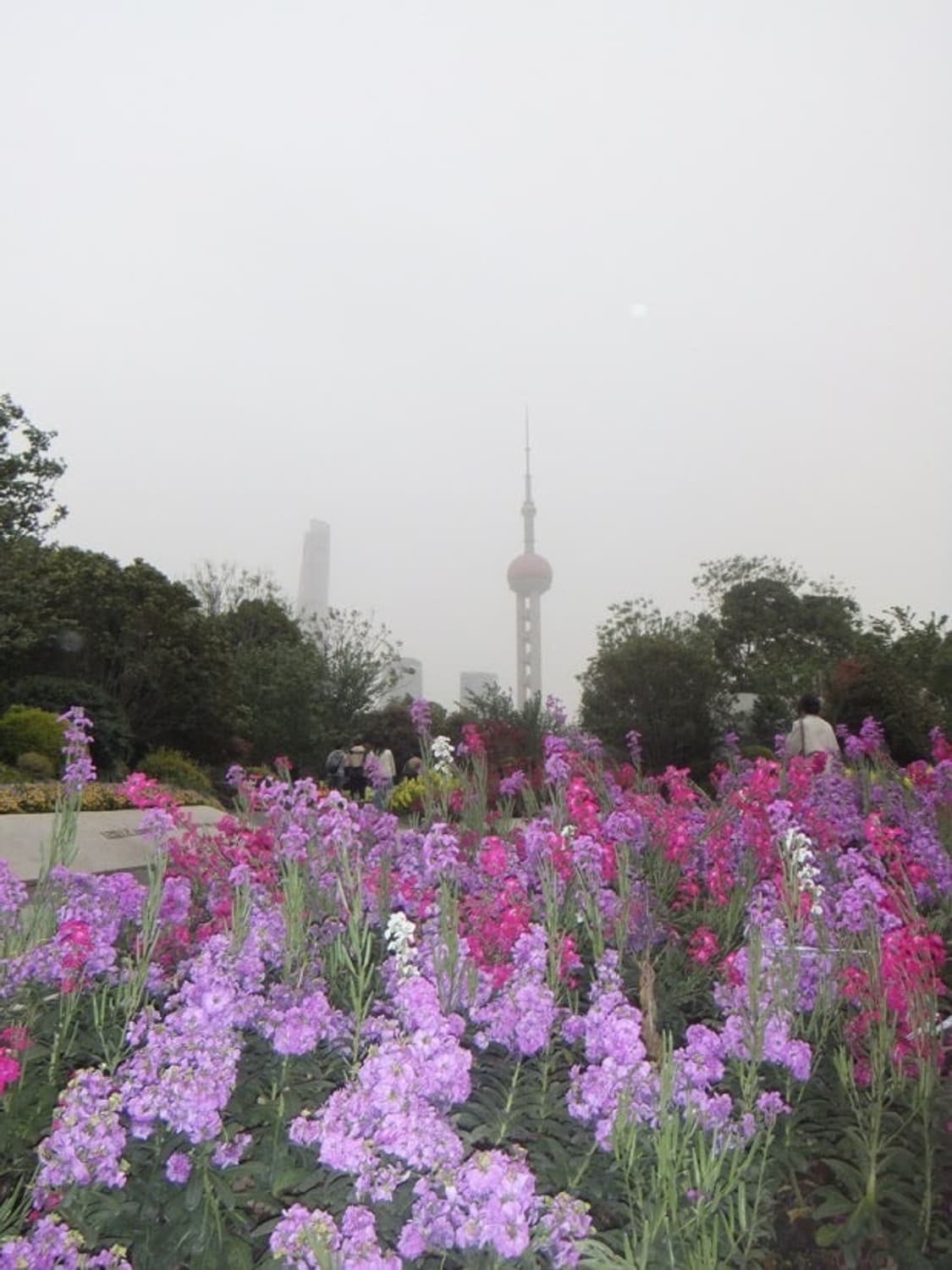 작례⭕️ S급 새상품 컨디션 후지필름 finepix z900exr 상품이미지5