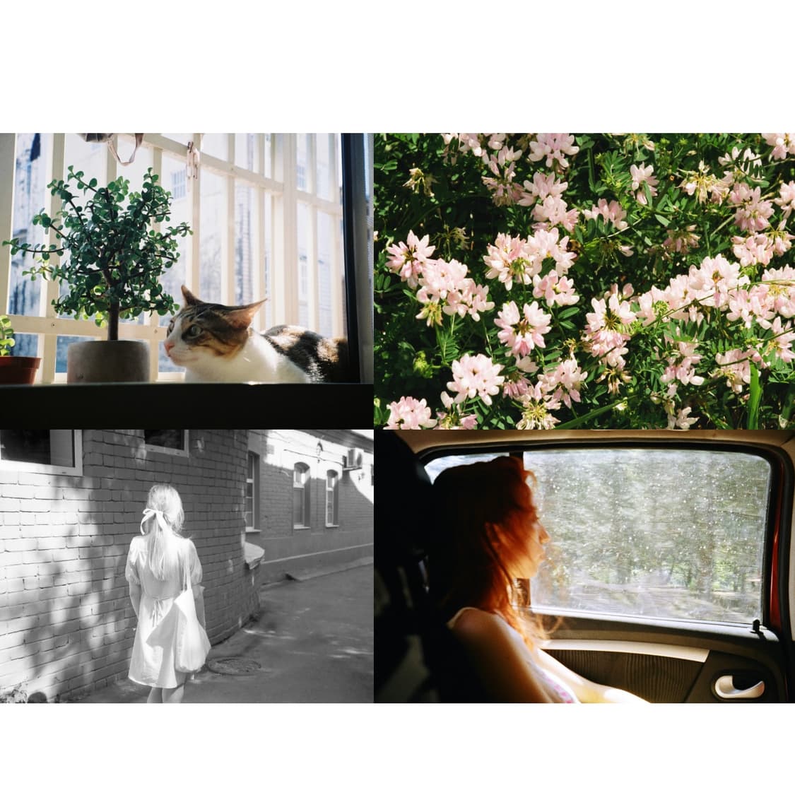 필름카메라 교세라 줌메이트 110w( 작례 0) 상품이미지4