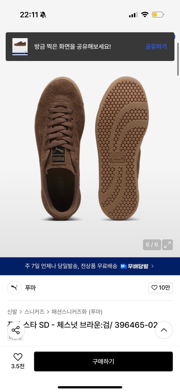 푸마 스타sd 체스넛 브라운 색상 295 새상품 상품이미지2
