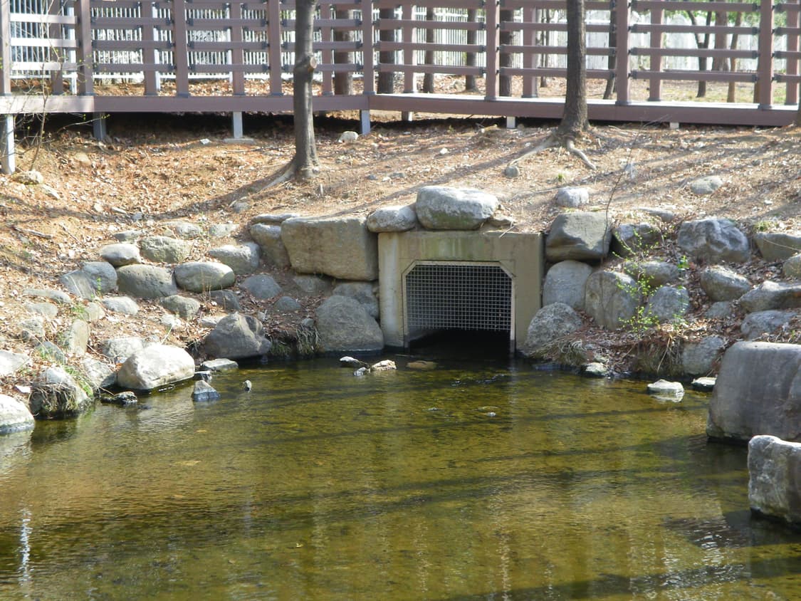 작례 있음💗 희귀!!) Pentax Optio E70 ⭐️ 상품이미지5