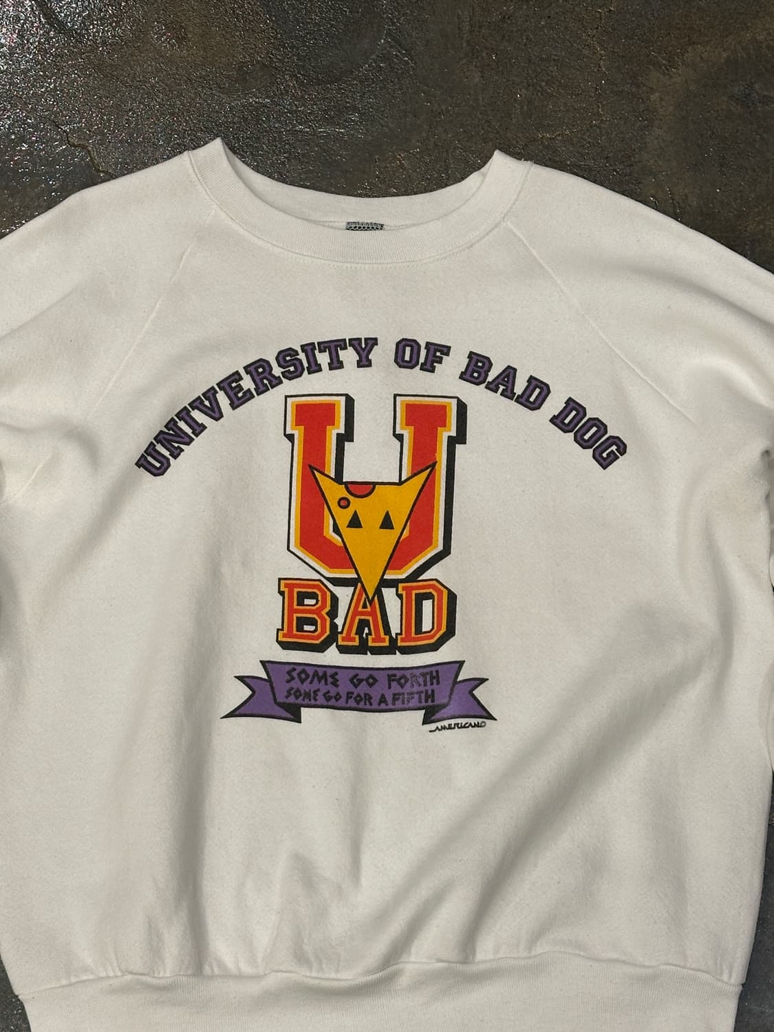 90’s 스크린스타즈 배드독 유니버시티 맨투맨 스웻셔츠 M 상품이미지3