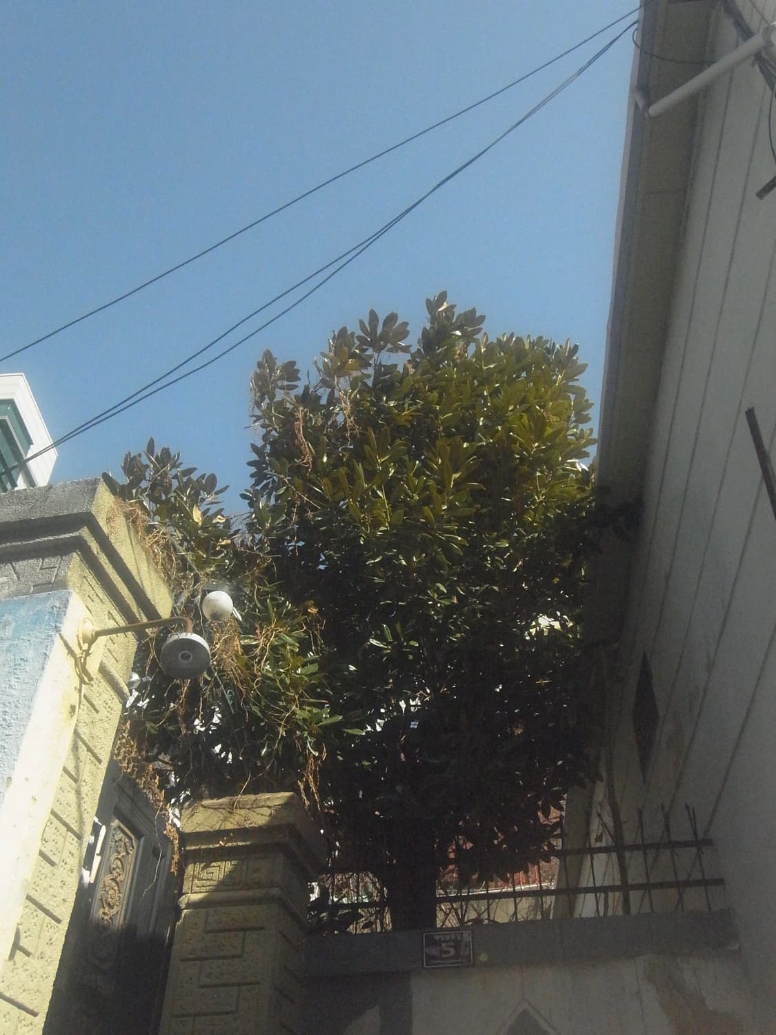 미품📷 리코 px  💫작례첨부💫 상품이미지8