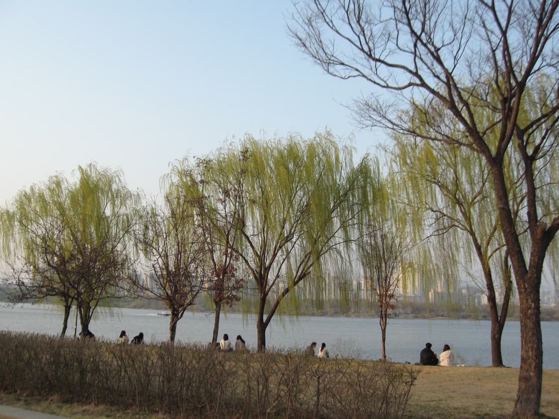 캐논 익서스750(canan ixus750) 상품이미지10