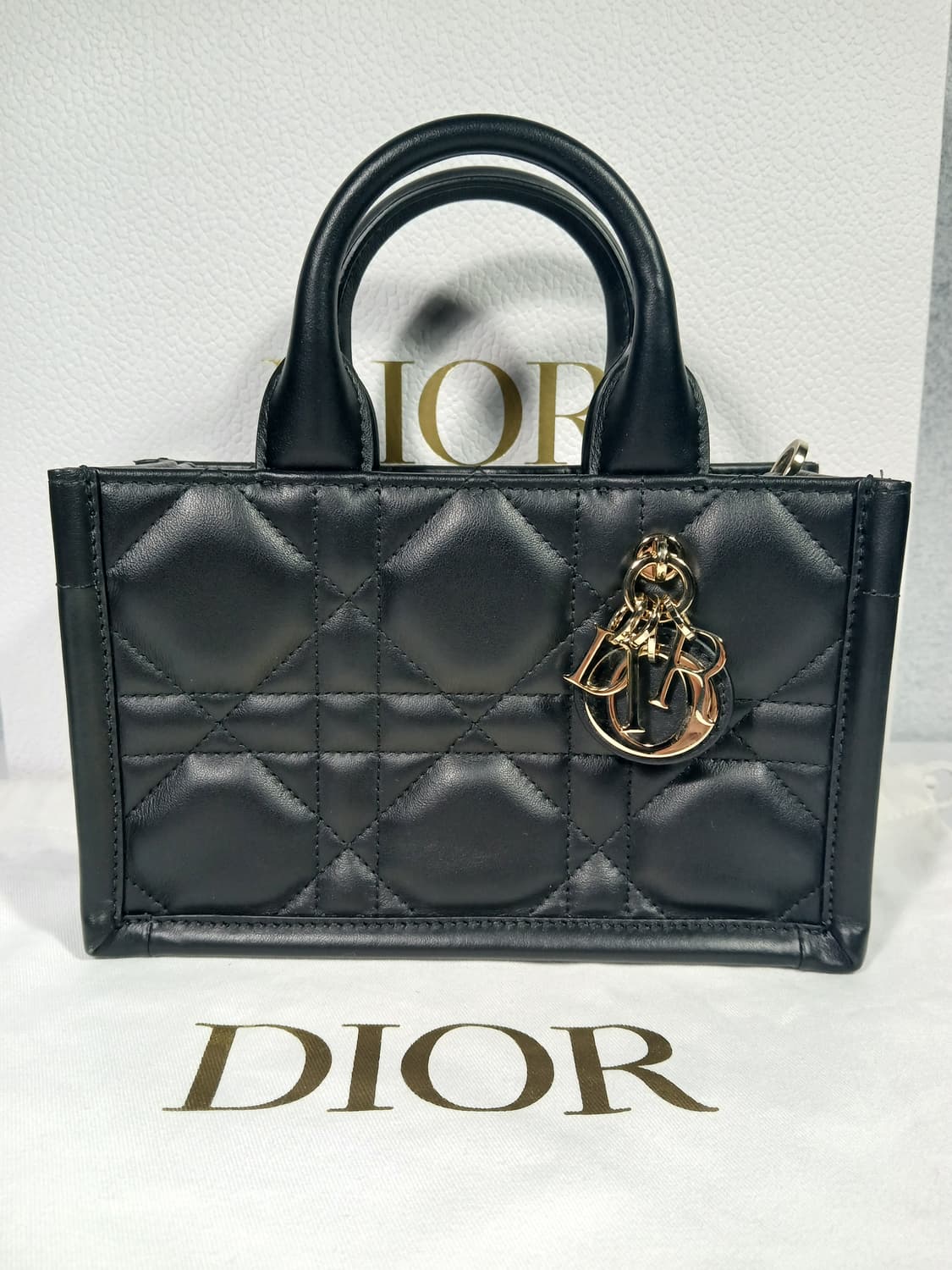 디올 매크로 까나쥬 북토트백 미니 S5573OWHP 상품이미지2