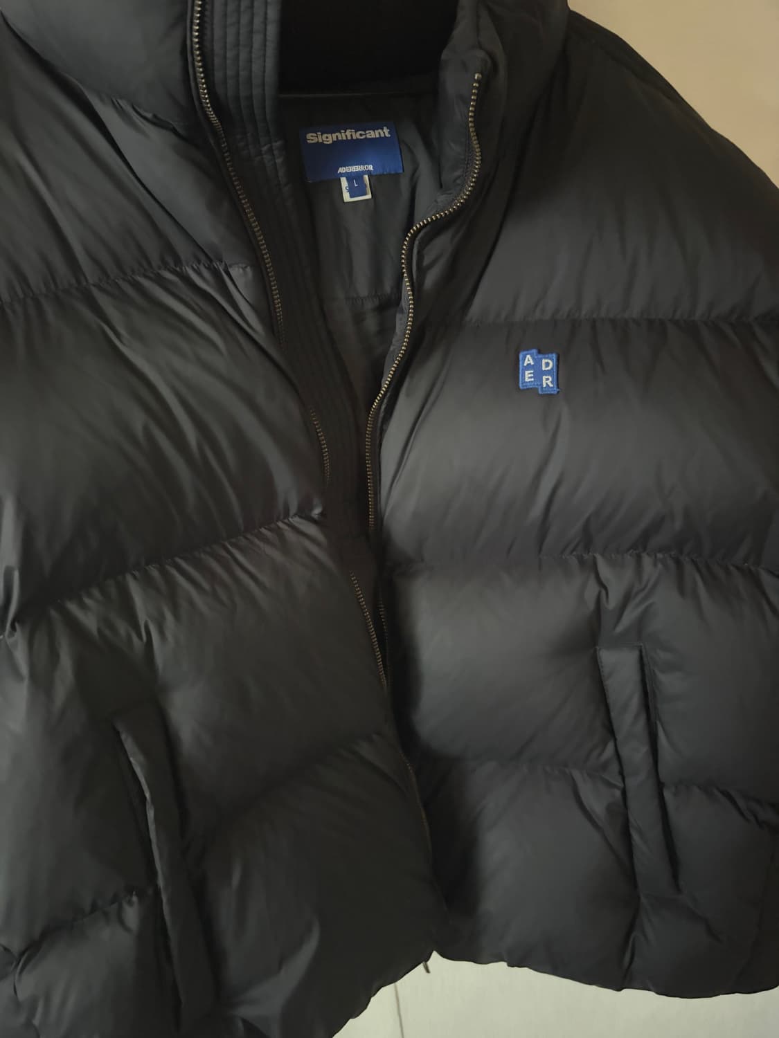 아더에러 시그니피컨트 패딩 L 상품이미지2