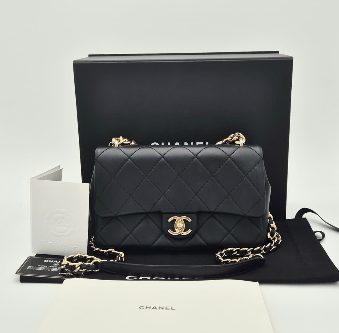 샤넬 램스킨 CC 플랩
볼드체인 숄더백

AS1353

 상품이미지1