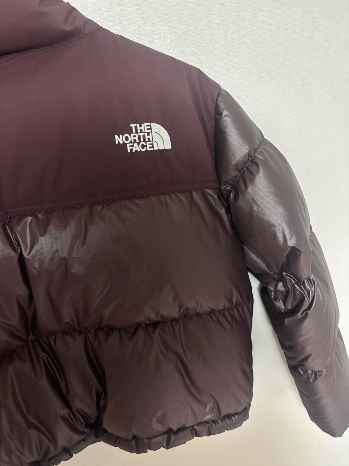 노페 눕시 코코아브라운 S!! 상품이미지4