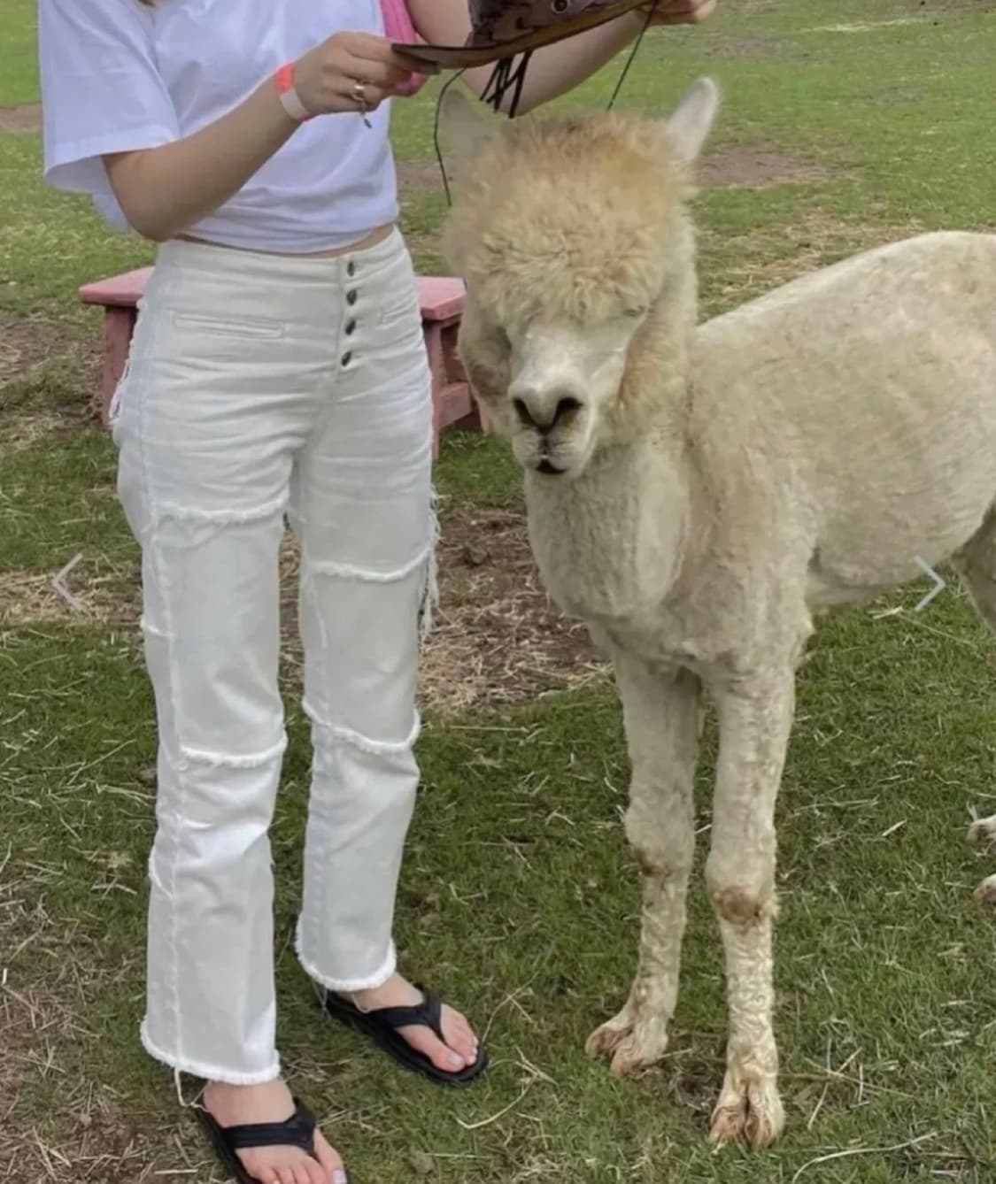 글로니 다운타운팬츠 시애틀진 화이트 S 상품이미지3