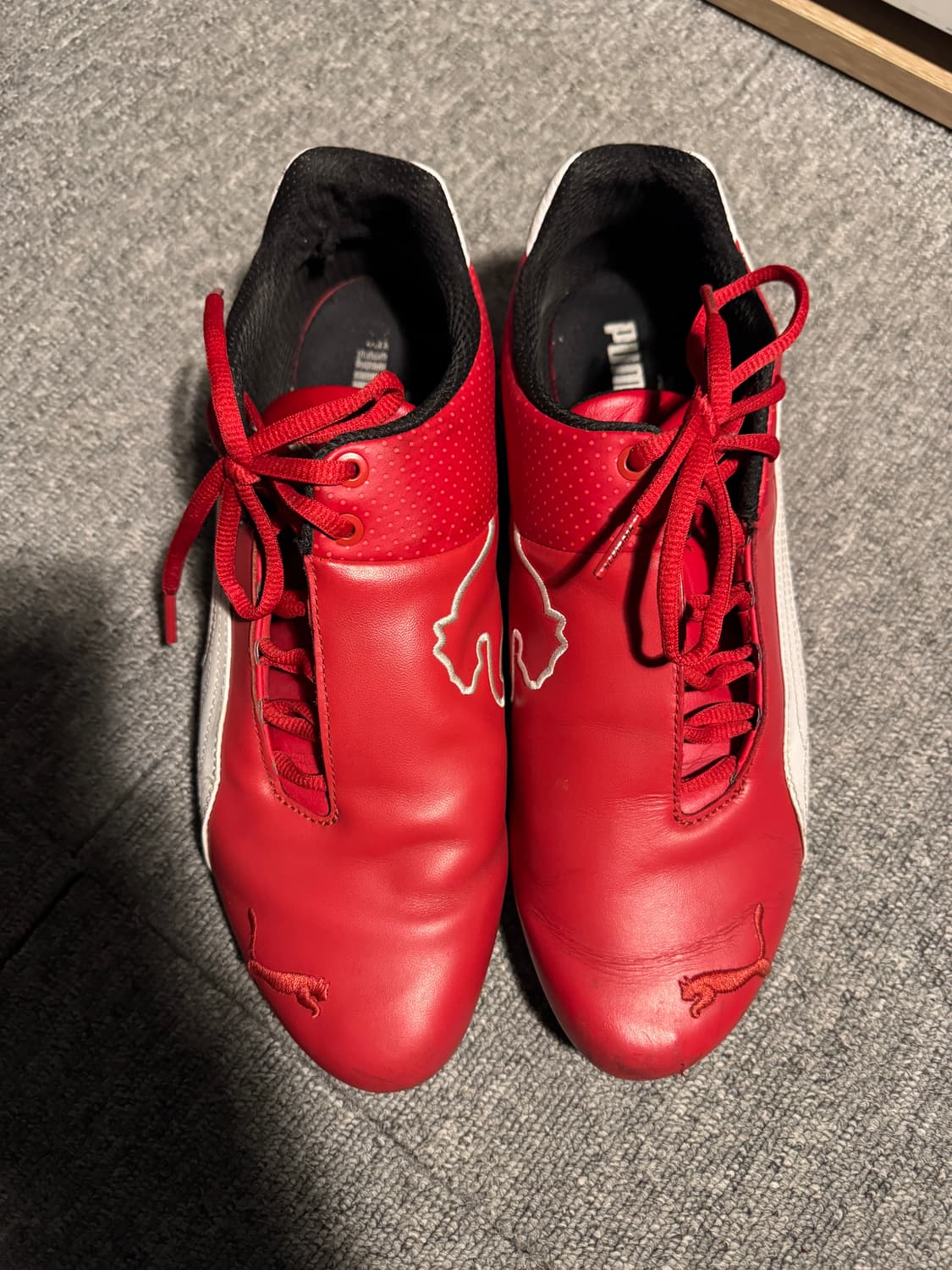 퓨마 페라리 퓨처캣 상품이미지2