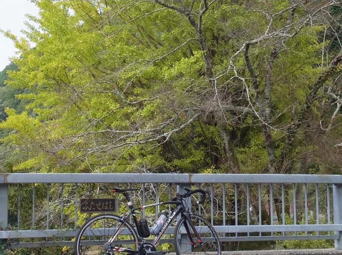 🖤 리코 CX6 블랙 ✨ 빠릿한 AF + 선명한 결과물 상품이미지10